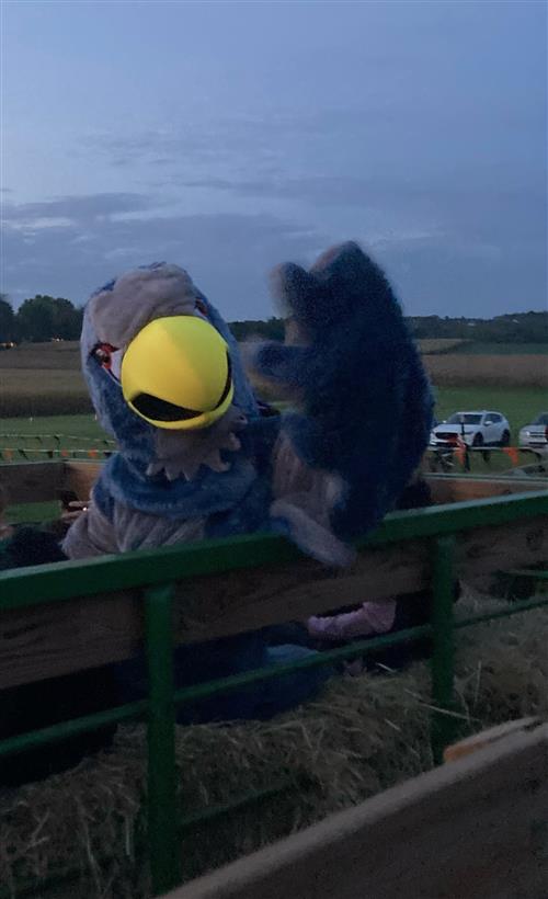 Skyview hawk mascot