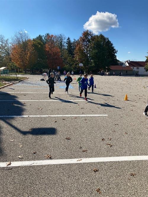 walk a thon