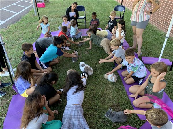mindfulness day